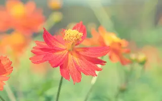 Best Mixed Wallpapers Pack 247