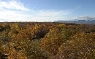 Best Mixed Wallpapers Pack 247